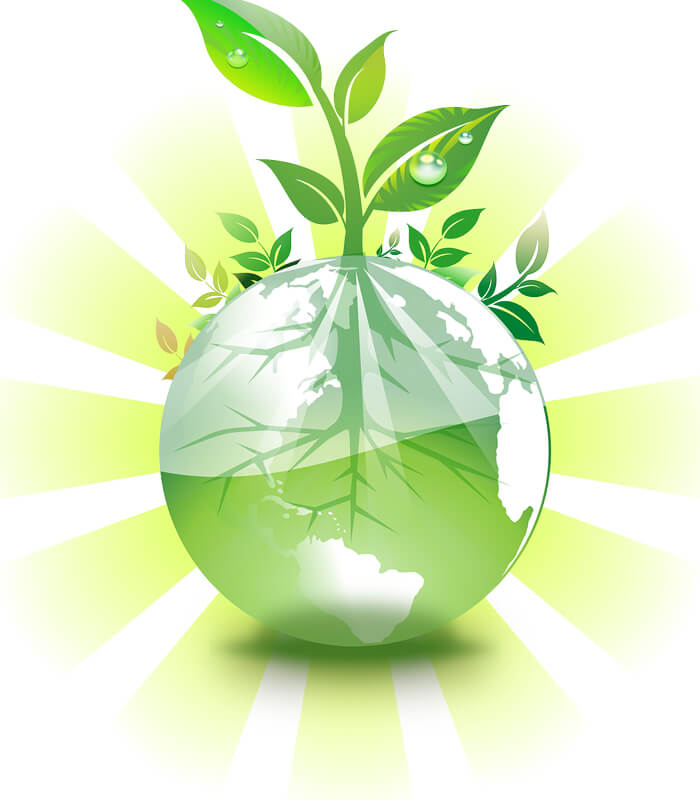 Green Earth - Environmental Conservation