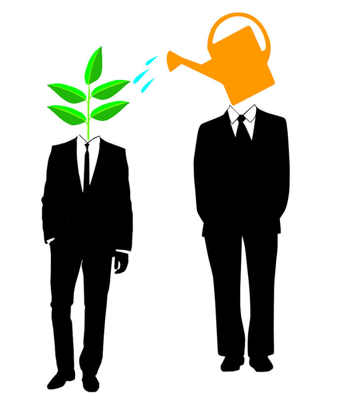 Mentorship and Coaching