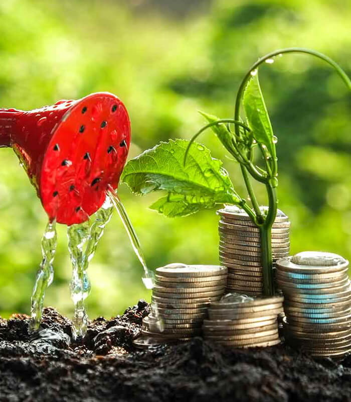 Economic Development and Business Skills Training - Wealth Creation